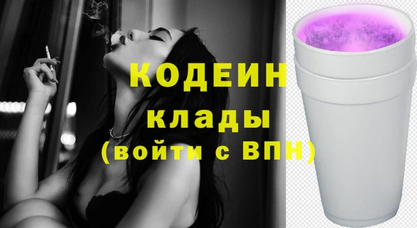 2c-b Новозыбков